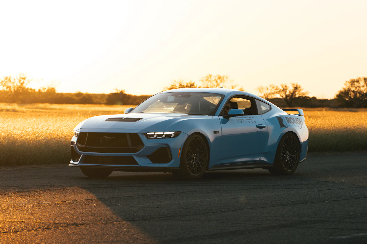 2015-2026 Roush Mustang Lowering Springs - Image 4
