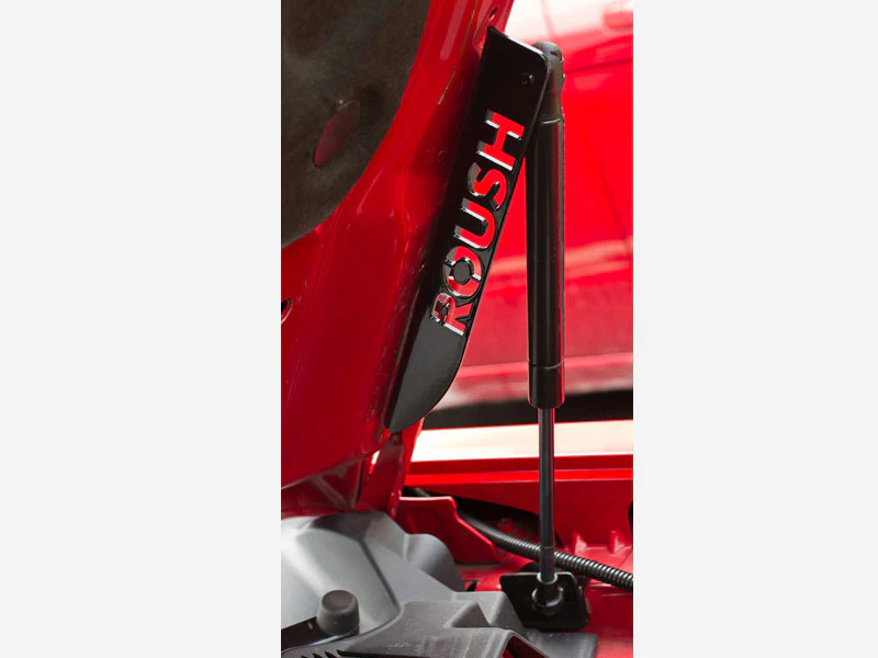 2005-2014 Roush Mustang Hood Struts - Image 3